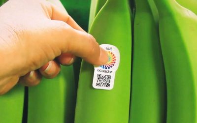 ecuador-ministry-tourism-banana-ambassador ecuador-ministry-tourism-banana-ambassador